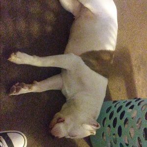 Meet your Posher, Rebekah